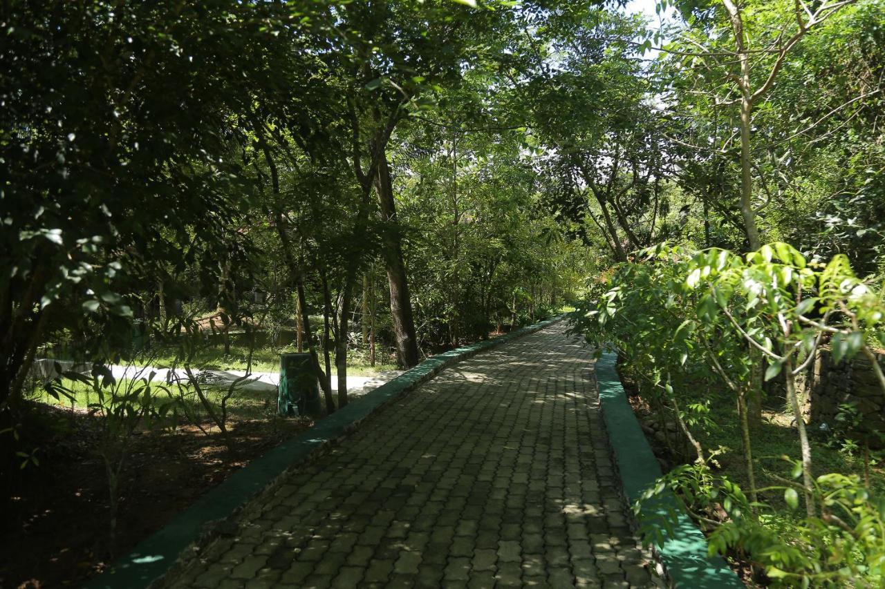 Laluna Ayurveda Resort Bentota Zewnętrze zdjęcie